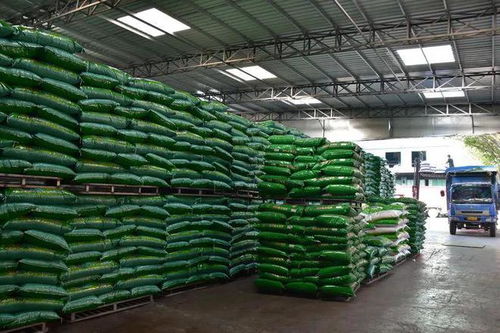 全國首家牛蛙料破十萬噸 今年牛蛙料挑戰(zhàn)15萬噸 潮汕本土老牌料企的決心與底氣